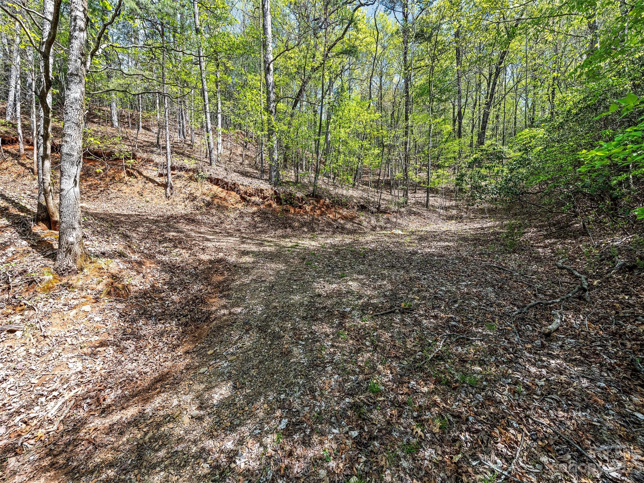 0 Cherokee Mine Road Franklin, NC 28734 - Photo 10 of 16 Gallery Image 10