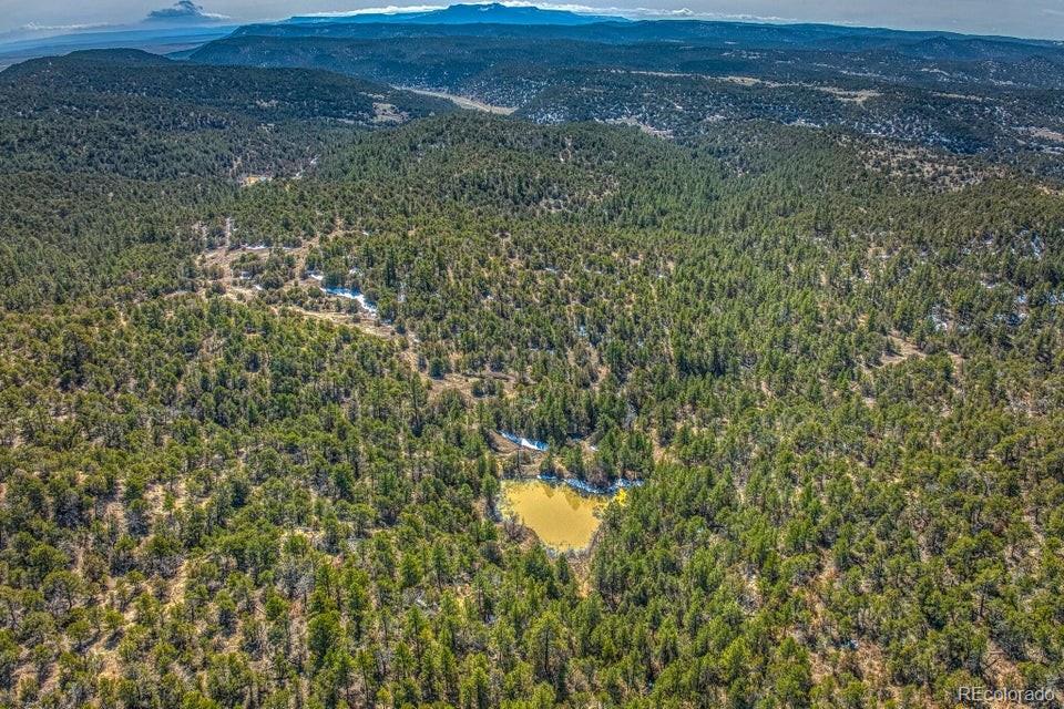 55.4 Co Road Trinidad, CO 81082 - Photo 8 of 49 Gallery Image 8