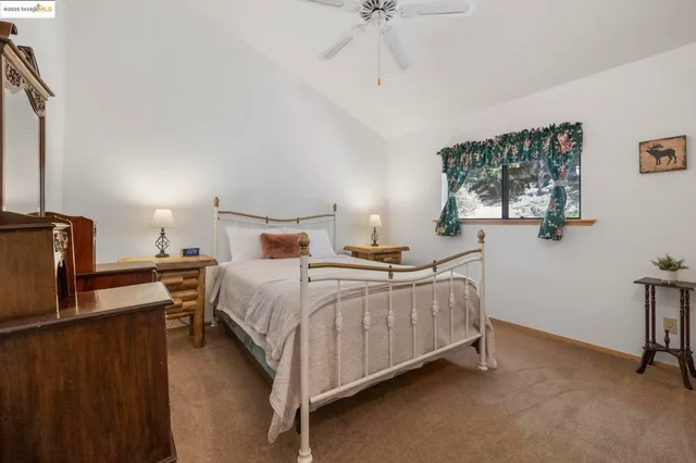 a view of a house with a tree