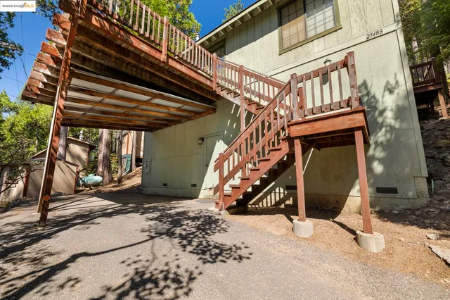 a view of a yard with plants