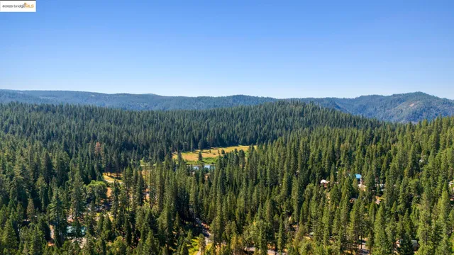 a view of a lake with a trees in the background