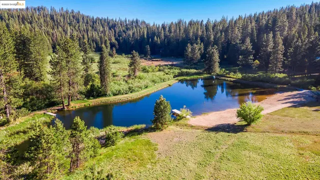 a view of a swimming pool with a bench