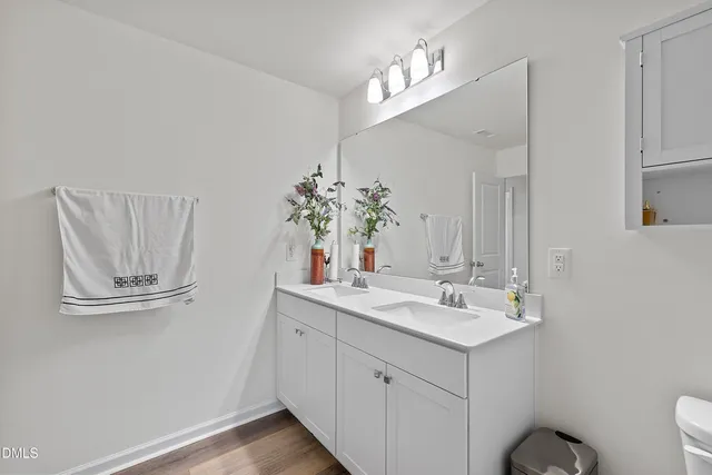 a bathroom with a sink a toilet and mirror