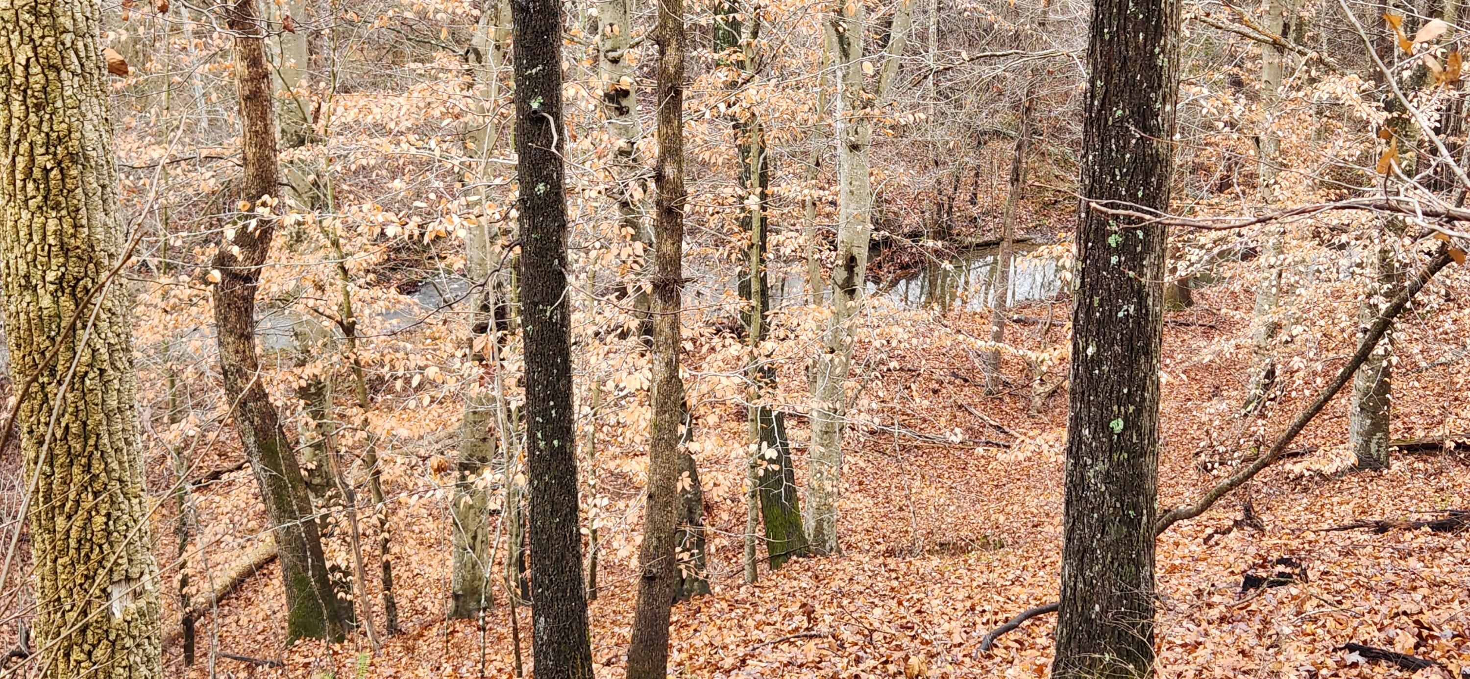 Lot 6 Brooks Mill Road Glade Hill, VA 24092 - Photo 2 of 4