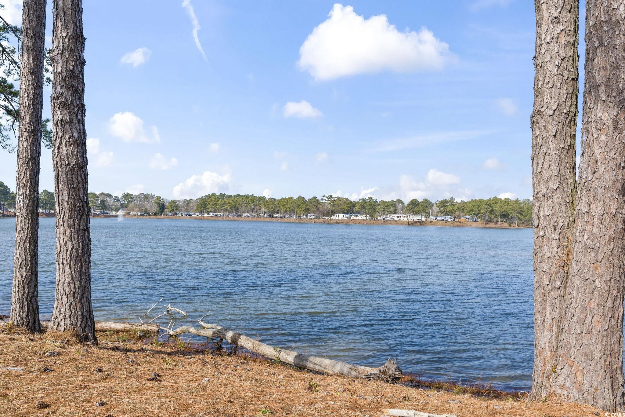 1525 Capella Lane Myrtle Beach, SC 29575 - Photo 35 of 37