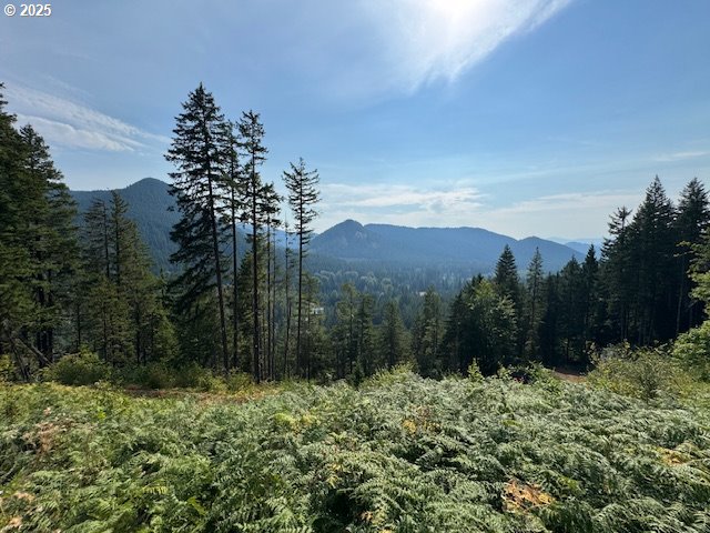 1281 Szydlo Road Carson, WA 98610 - Photo 11 of 18 a view of a garden