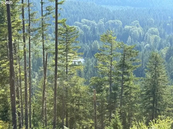 a view of outdoor space with trees