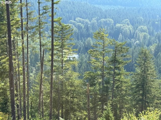 1281 Szydlo Road Carson, WA 98610 - Photo 12 of 18