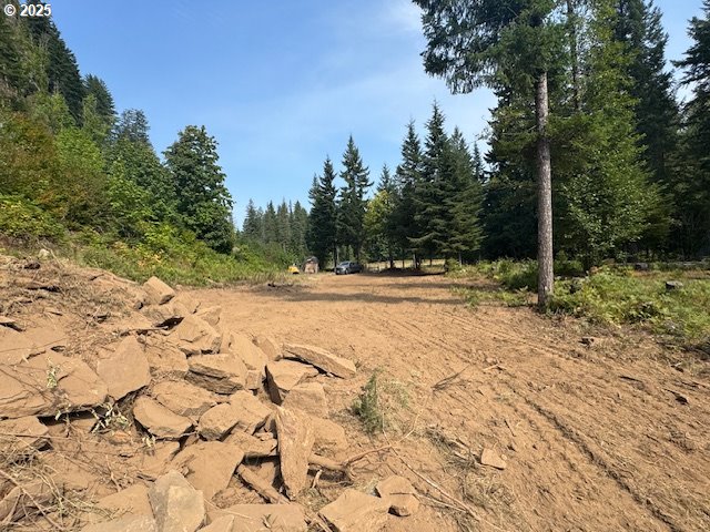 1281 Szydlo Road Carson, WA 98610 - Photo 13 of 18 a view of outdoor space with trees