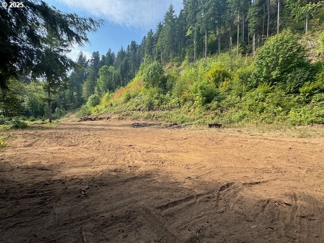 1281 Szydlo Road Carson, WA 98610 - Photo 15 of 18 a view of a lake view