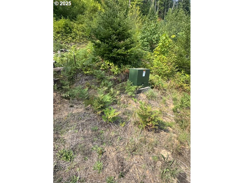 1281 Szydlo Road Carson, WA 98610 - Photo 17 of 18 a plant that is in front of a door