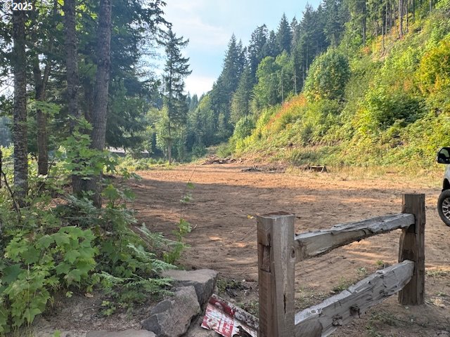 1281 Szydlo Road Carson, WA 98610 - Photo 2 of 18 a view of a yard with plants and trees