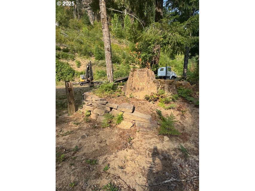 1281 Szydlo Road Carson, WA 98610 - Photo 3 of 18 a view of outdoor space