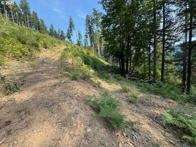 a big yard with lots of green space and house in the back