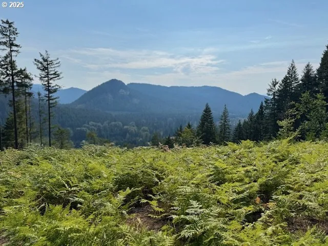 a view of a garden with mountains in the background