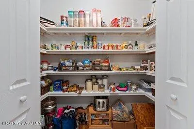 a view of a park with large trees