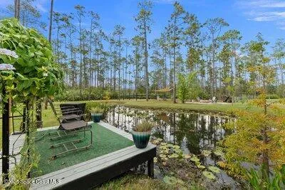 a view of a house with a yard and potted plants