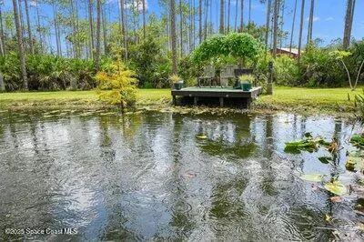 a view of a yard with a tree