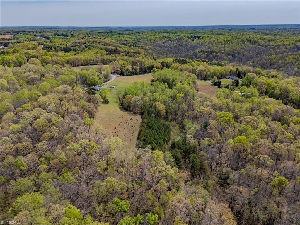 1749 Phillips Road Sandy Ridge, NC 27046 - Photo 30 of 43 Gallery Image 30