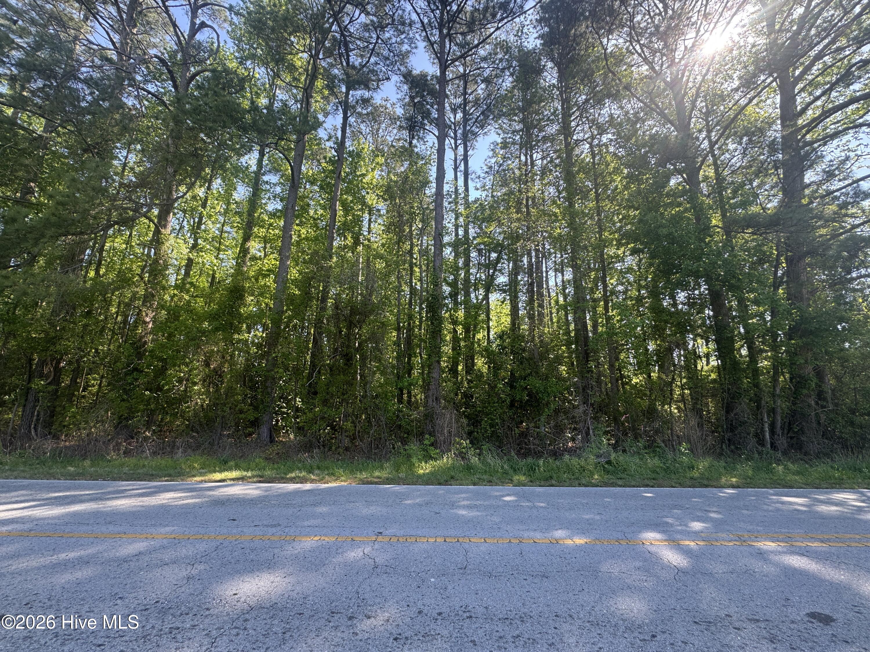 2125 Pony Farm Road Jacksonville, NC 28540 - Photo 1 of 1 Wooded Site