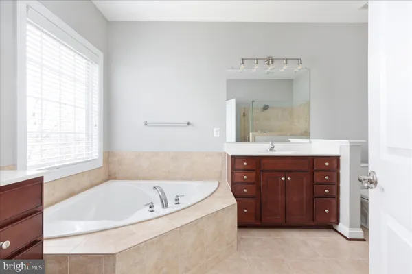 a bathroom with a tub sink and mirror