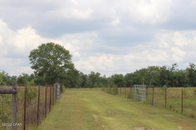 2 Pike Pond Road Chipley, FL 32428 - Photo 86 of 87