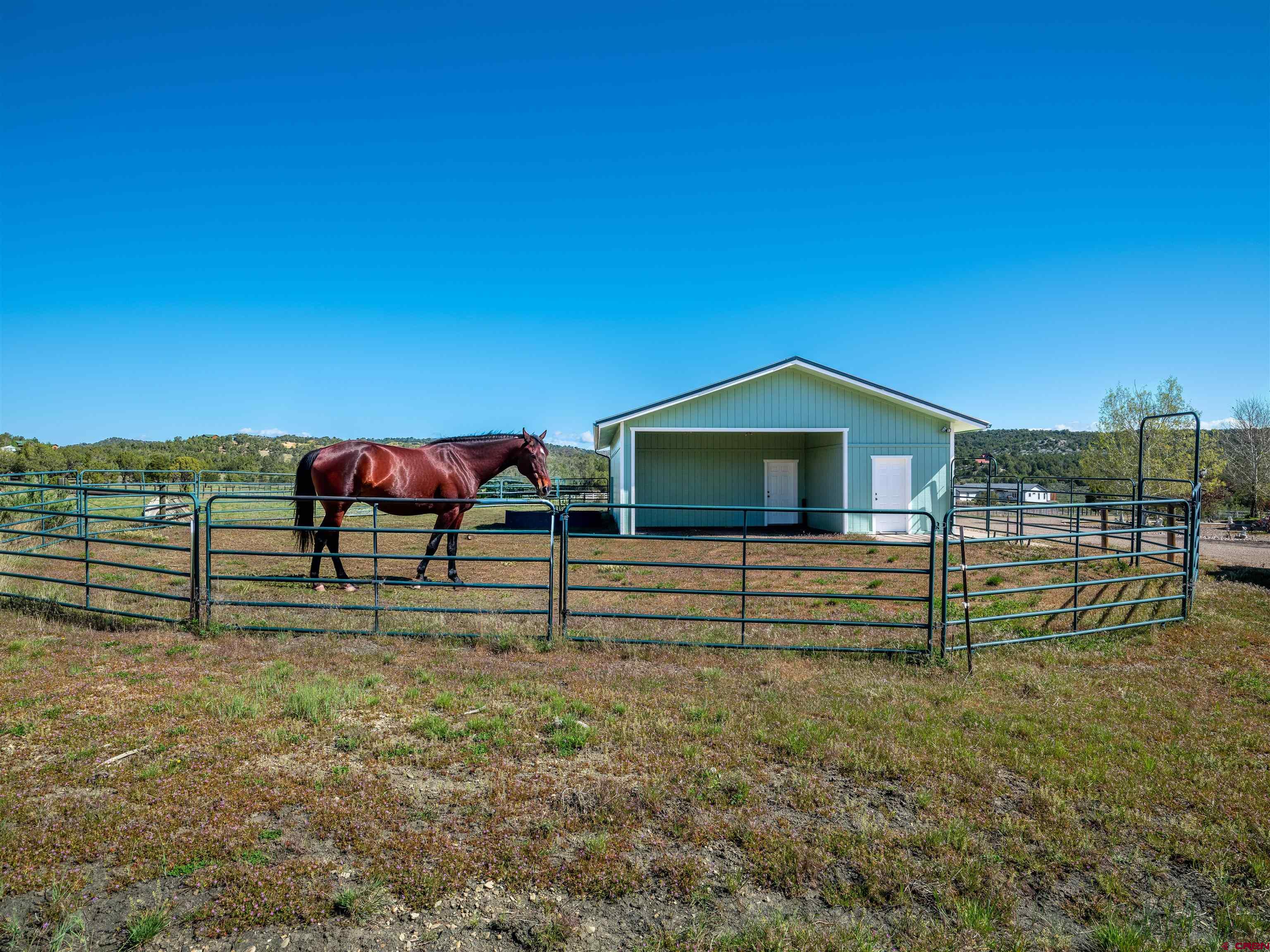 35998 Rd J.9 Mancos, CO 81328 - Photo 25 of 45 This photo has been digitally altered to add horse