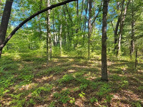 $75,000 | Tbd 120th Street, Zimmerman, MN 55398