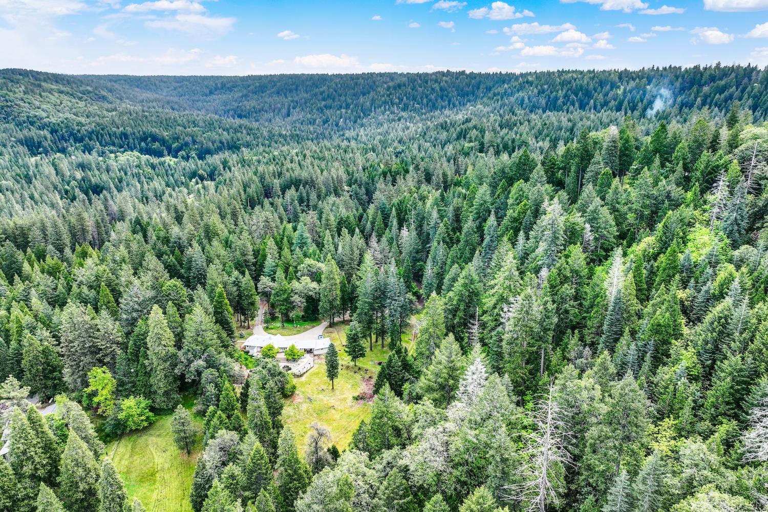 10742 Harmony Ridge Road Nevada City, CA 95959 - Photo 42 of 60