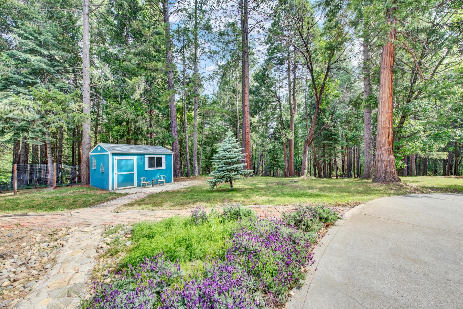 10742 Harmony Ridge Road Nevada City, CA 95959 - Photo 52 of 60