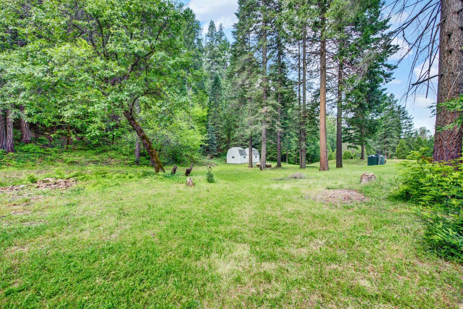 10742 Harmony Ridge Road Nevada City, CA 95959 - Photo 56 of 60