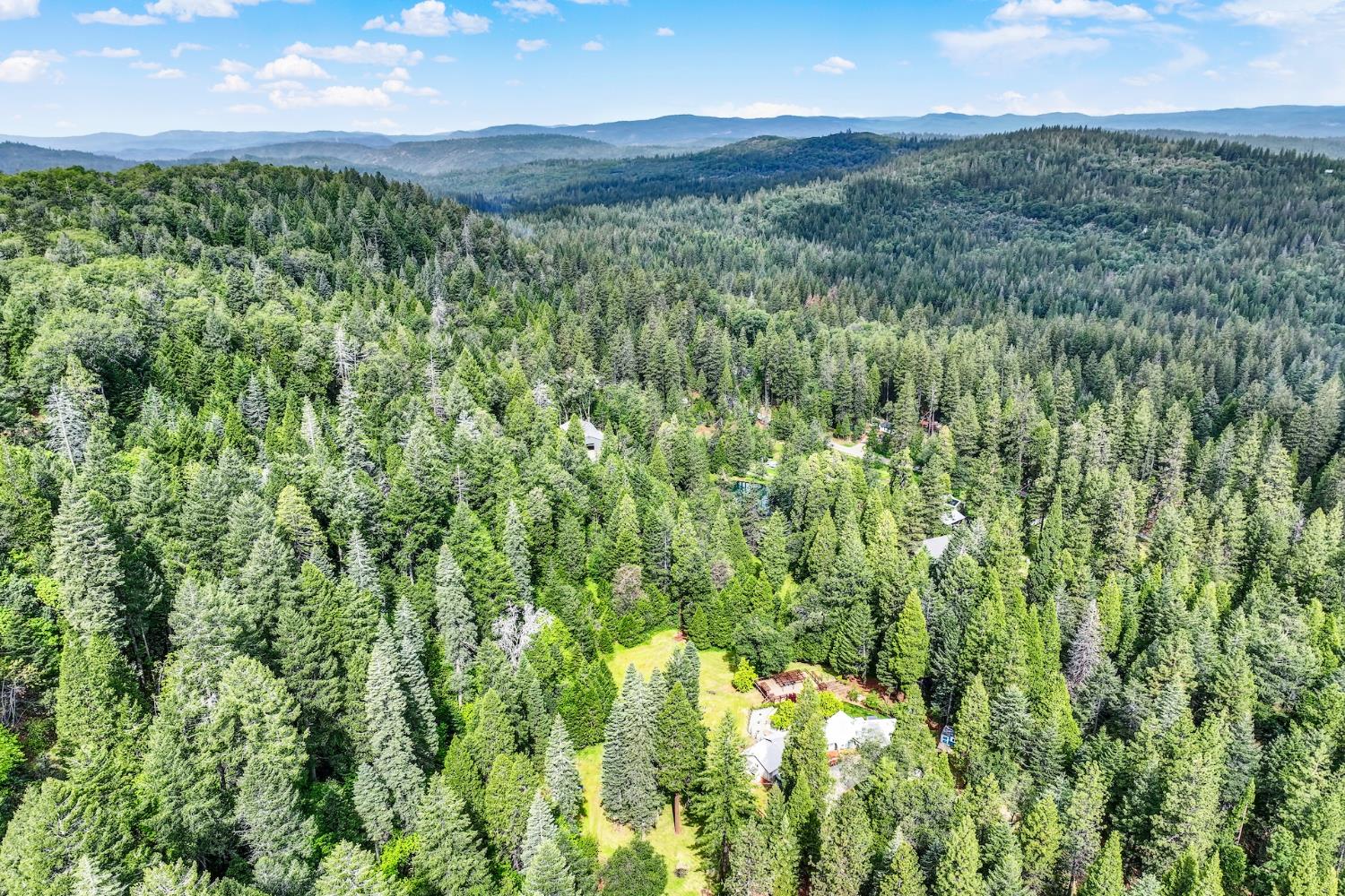 10742 Harmony Ridge Road Nevada City, CA 95959 - Photo 57 of 60