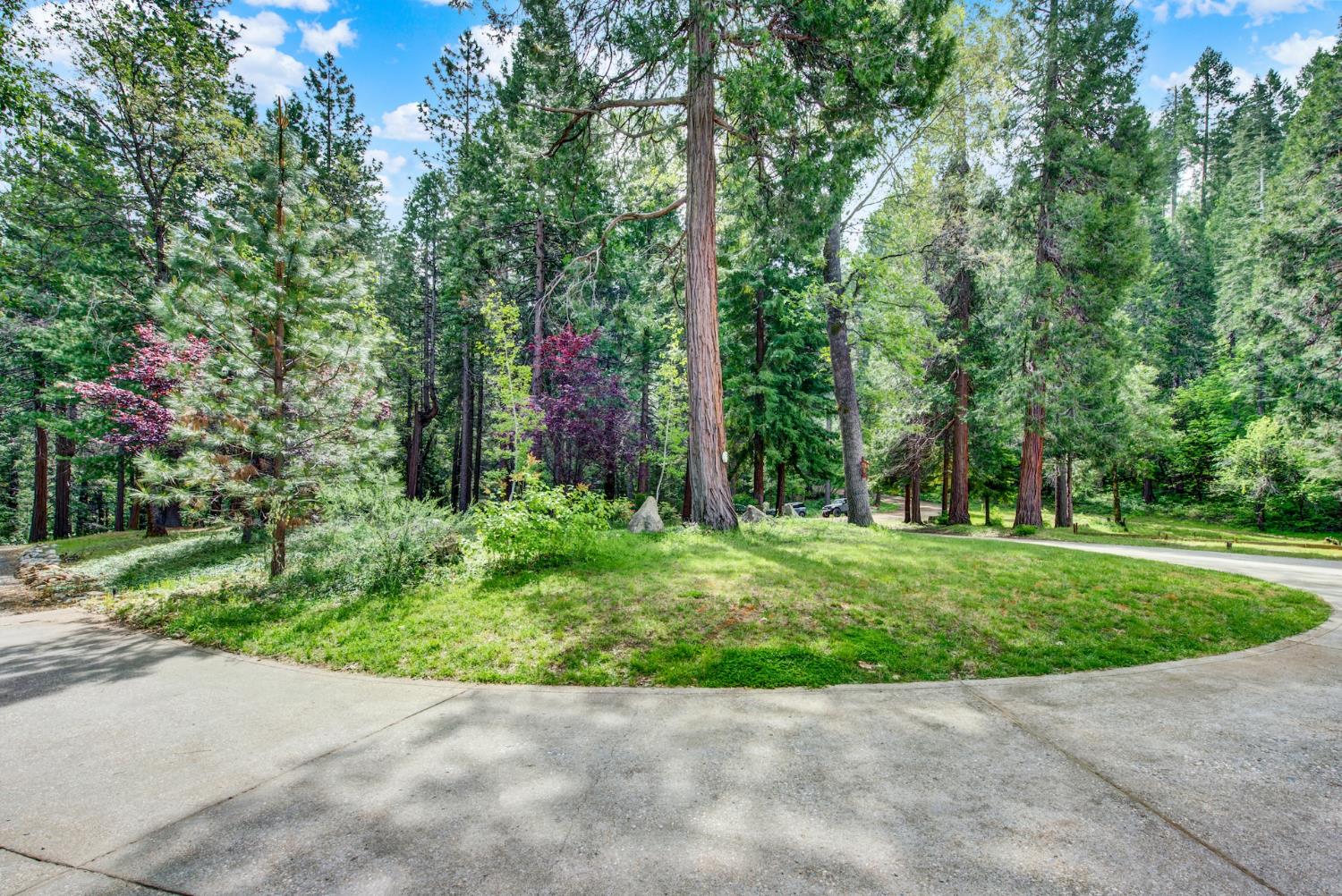 10742 Harmony Ridge Road Nevada City, CA 95959 - Photo 59 of 60