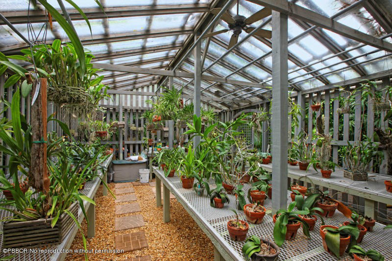 322 Clarke Avenue Palm Beach, FL 33480 - Photo 24 of 28 a view of a potted plant with a tree