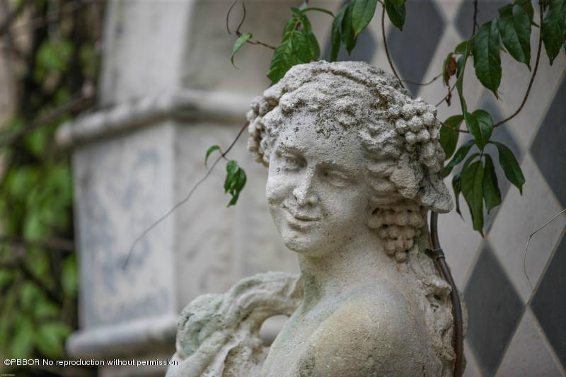 322 Clarke Avenue Palm Beach, FL 33480 - Photo 26 of 28 a view of a plant in a pot