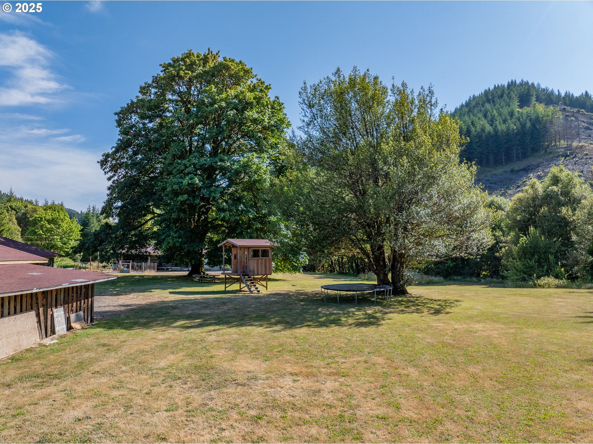 53856 Big Creek Road Myrtle Point, OR 97458 - Photo 11 of 44