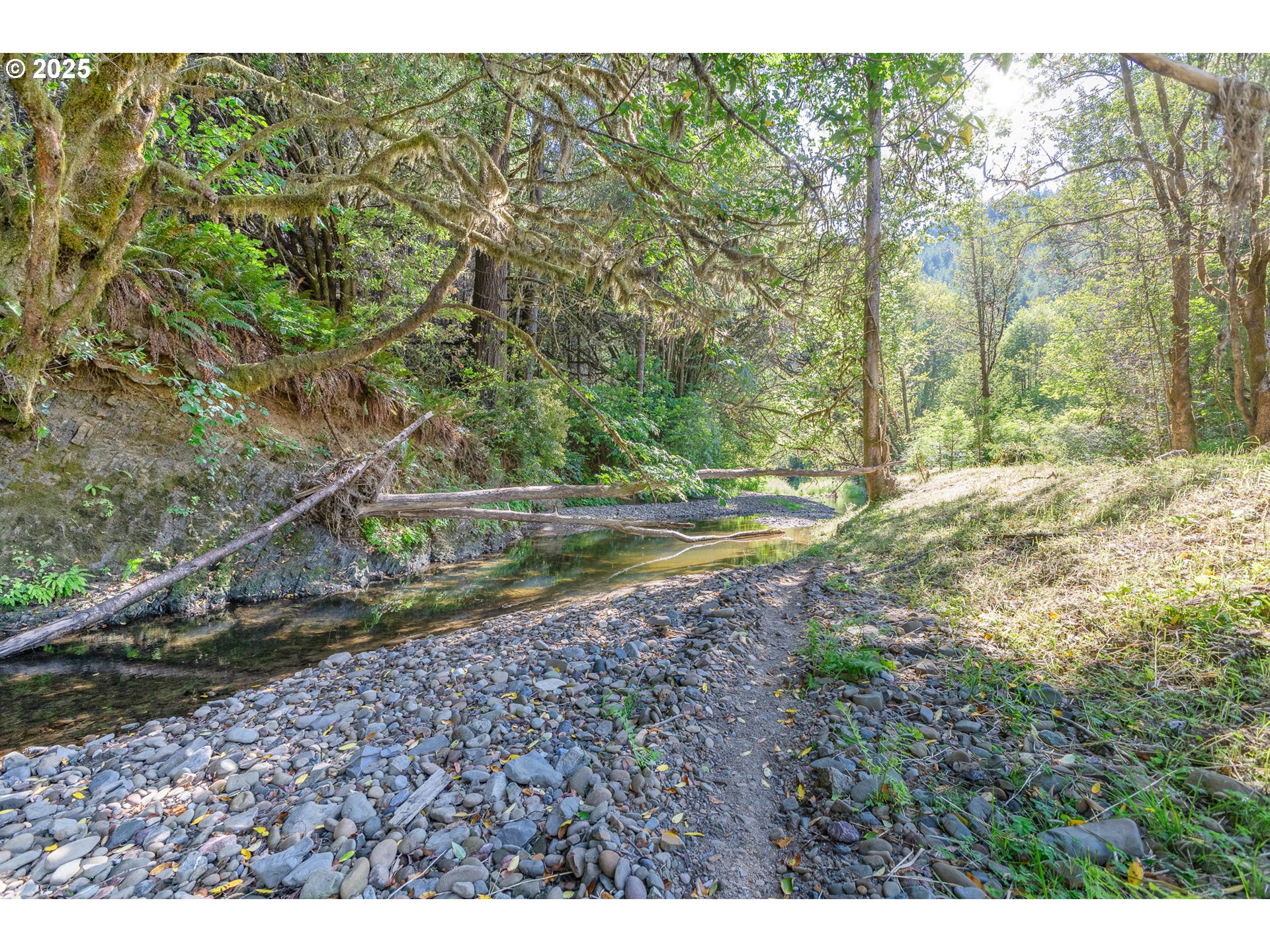 53856 Big Creek Road Myrtle Point, OR 97458 - Photo 5 of 44