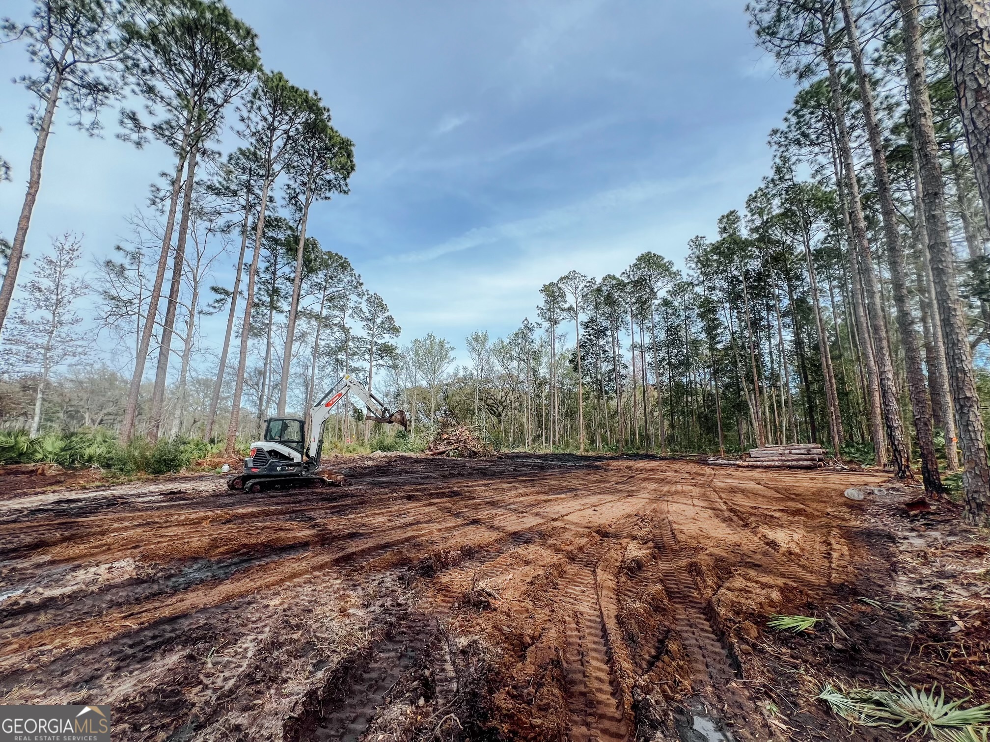 7079 Harrietts Bluff Road Woodbine, GA 31569 - Photo 1 of 1