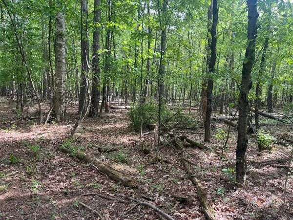 $56,900 | Mortimer Line Road, Croswell, MI 48422