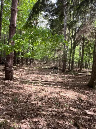 $56,900 | Mortimer Line Road, Croswell, MI 48422