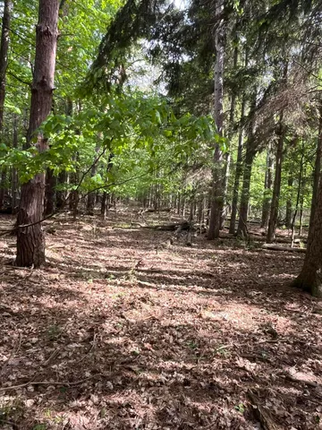 $56,900 | Mortimer Line Road, Croswell, MI 48422