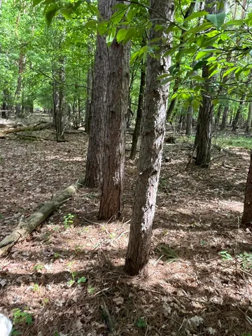 $56,900 | Mortimer Line Road, Croswell, MI 48422