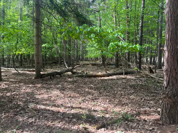 $56,900 | Mortimer Line Road, Croswell, MI 48422