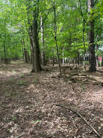 $56,900 | Mortimer Line Road, Croswell, MI 48422