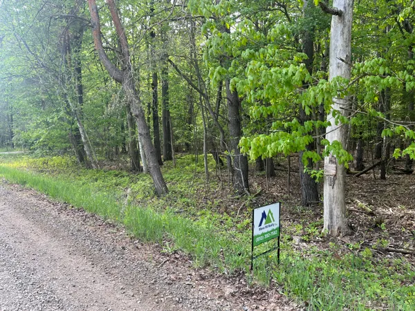 $56,900 | Mortimer Line Road, Croswell, MI 48422