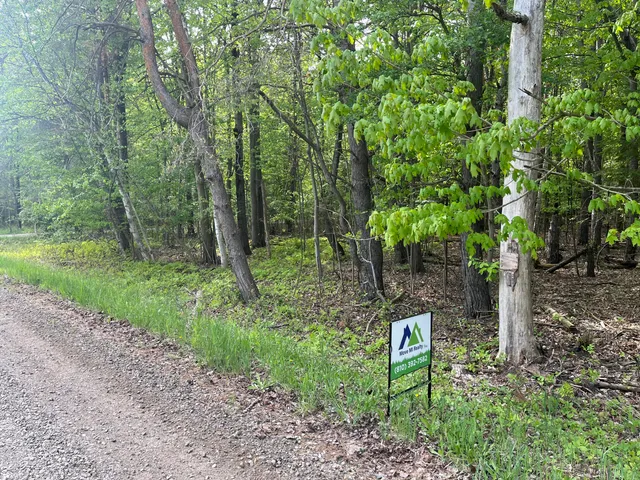 $56,900 | Mortimer Line Road, Croswell, MI 48422