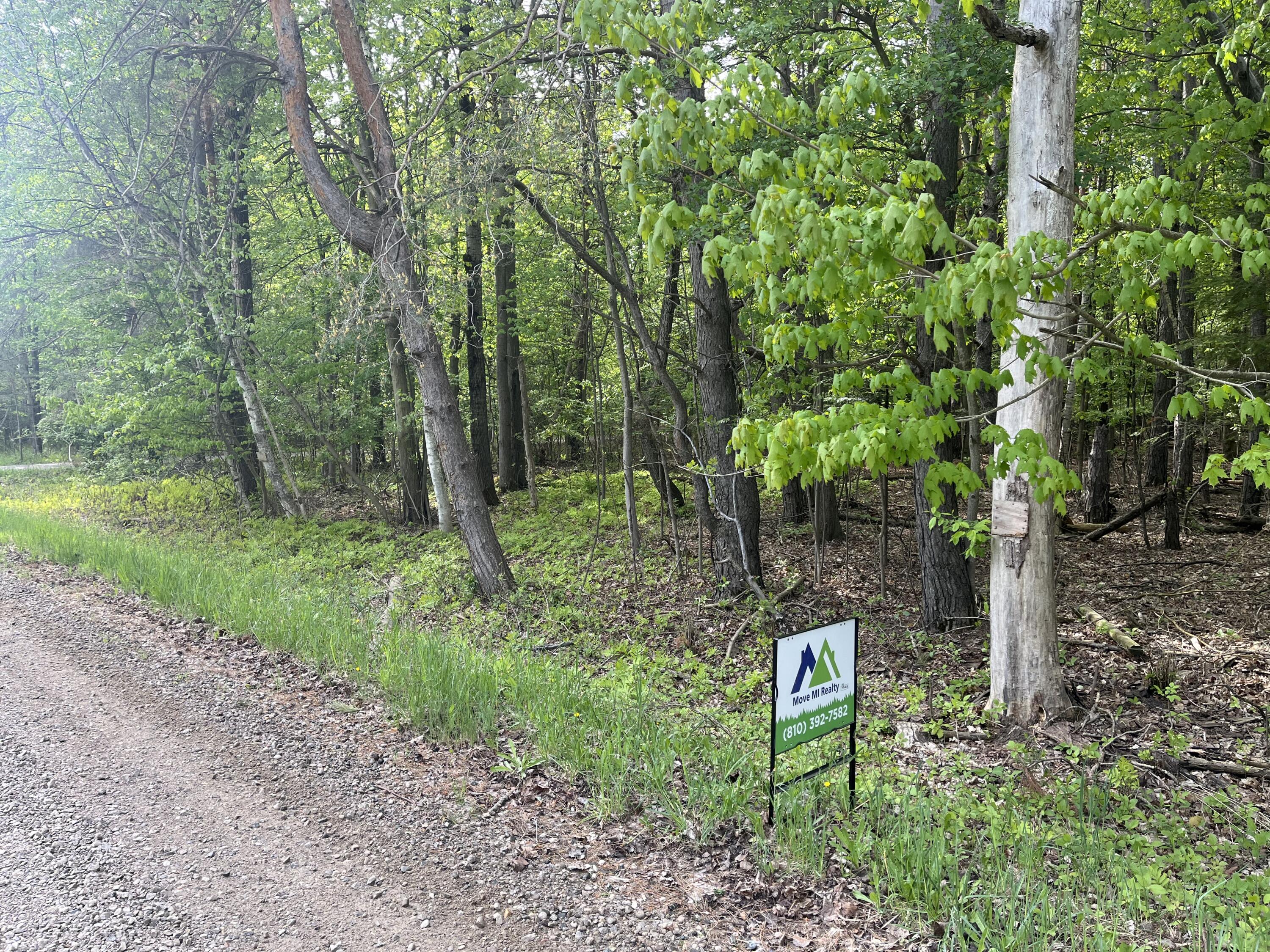 Mortimer Line Road Croswell, MI 48422 - Photo 2 of 15 image1 (8)