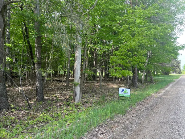 $56,900 | Mortimer Line Road, Croswell, MI 48422