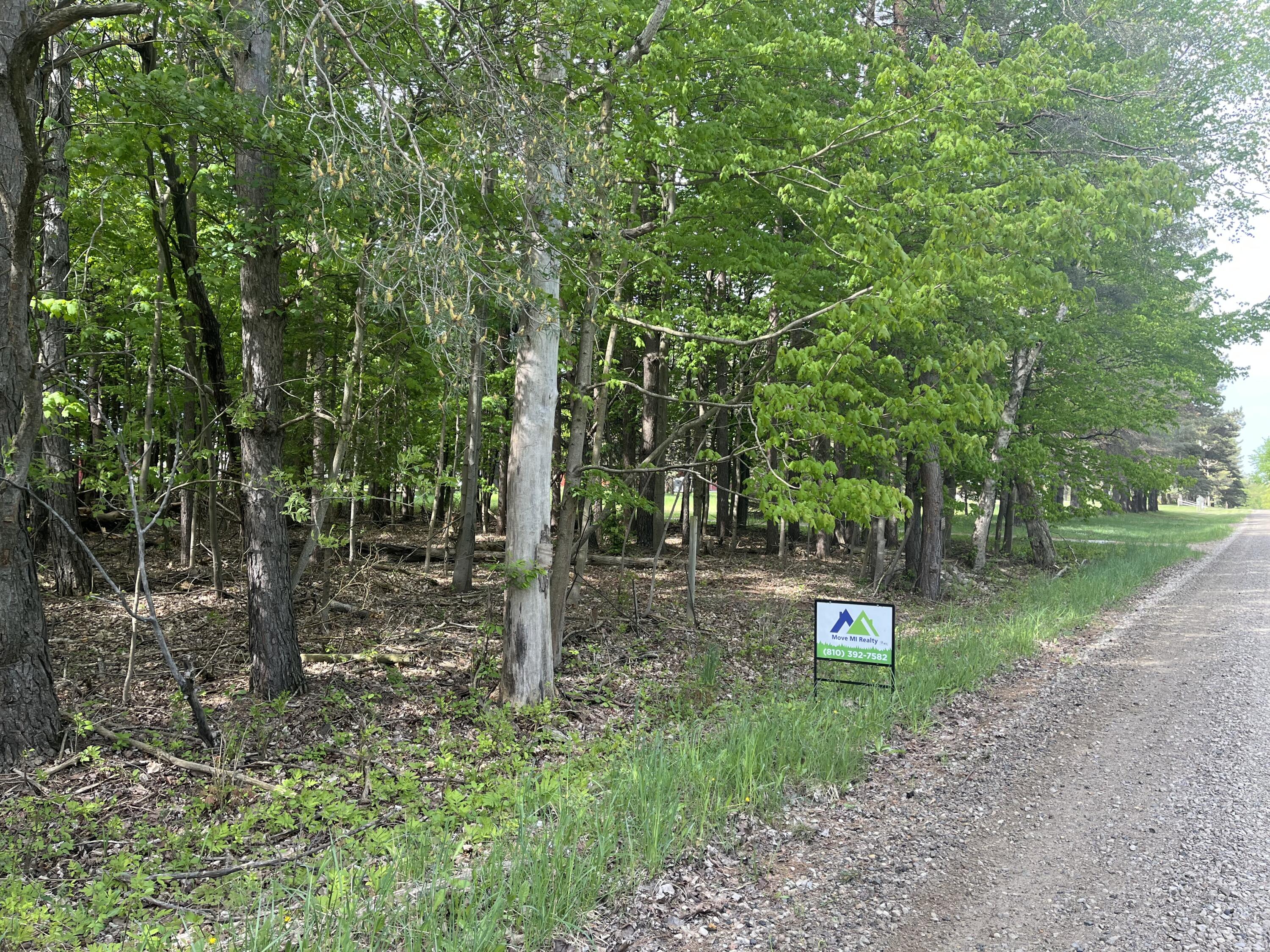 Mortimer Line Road Croswell, MI 48422 - Photo 3 of 15 image0 (7)