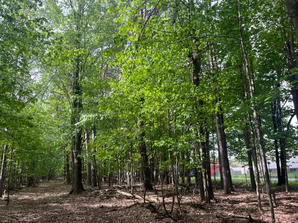 $56,900 | Mortimer Line Road, Croswell, MI 48422